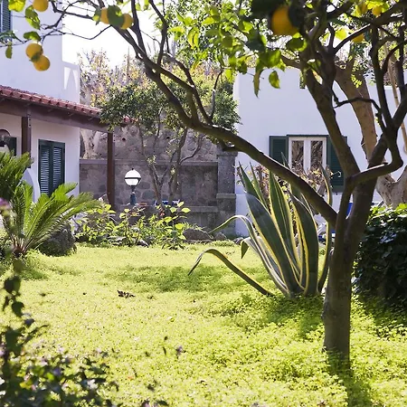 Park Terme Mediterraneo 4* Forio di Ischia